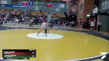 125 lbs Semifinal - Logan Seliga, UNC Pembroke vs Zach Shupp, Newberry