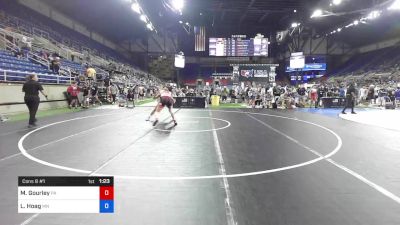 170 lbs Cons 8 #1 - Mason Gourley, Pennsylvania vs Luke Hoag, Minnesota