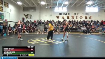 195 lbs Cons. Semi - Jake Schoer, Wapsie Valley vs Cole Rauch, North Linn