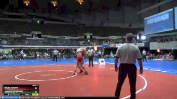 165 lbs Quarterfinals (8 Team) - Andrew McDougal, Roanoke College vs Wiley Houser, Davis & Elkins