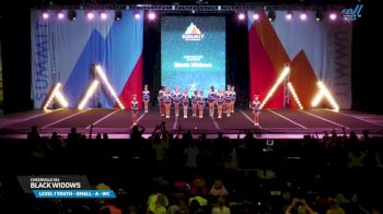CheerVille MJ - Black Widows [2025 L1 Youth - Small - A - WC Day 1] 2025 The Youth Summit