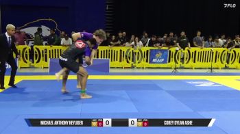 Corey Dylan Ashe vs Michael Anthony Heyliger 2025 Pan IBJJF Jiu-Jitsu No-Gi Championship