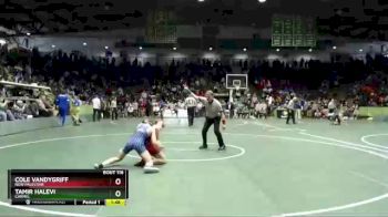 106 lbs Quarterfinal - Tamir Halevi, Carmel vs Cole Vandygriff, New Palestine