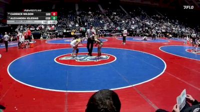 110 lbs Champ. Round 1 - Alexandra Iglesias, Central Gwinnett vs Cadence Wilson, Carrollton