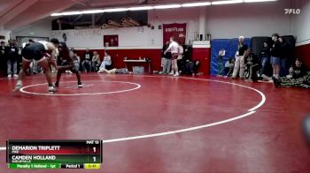 165 lbs Champ. Round 2 - Camden Holland, SHELBYVILLE vs Demarion Triplett, Pike