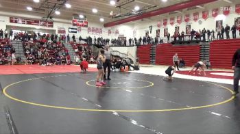 120 lbs Quarterfinal - Chloe Ellis, Clinton vs Tessa Fosdick, Fulton (H.S.)