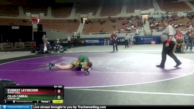 D1-120 lbs Quarterfinal - Everest Leydecker, Desert Vista vs Cilus Cabral, Sunnyslope