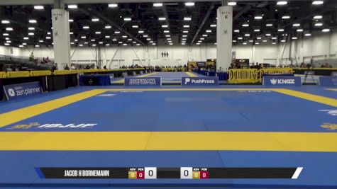 vs JACOB H BORNEMANN 2025 World IBJJF Jiu-Jitsu No-Gi Championship