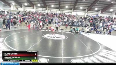 190 lbs Quarterfinal - Blake Carter, Delta vs Gavin Cardenas, Canyon View