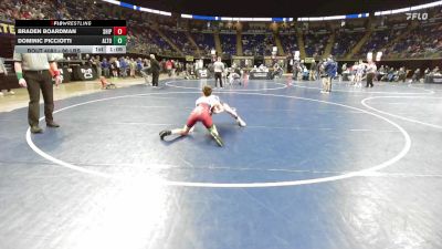 96 lbs Consy 4 - Braden Boardman, Shippensburg vs Dominic Picciotti, Altoona