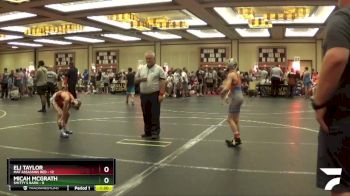 78 lbs Round 2 (6 Team) - Micah McGrath, Smitty`s Barn vs Eli Taylor, Mat Assassins Red