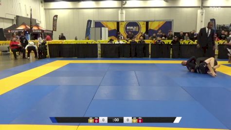 Julio Armando Echeverria Dulon N vs Claude Donald Cook 2024 World IBJJF Jiu-Jitsu No-Gi Championship