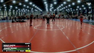 80 lbs Rd# 9- 2:15pm Saturday Final Pool - Joaquin Tenorio, Bitetto Trained vs Wesley Martin, Nebraska Elite