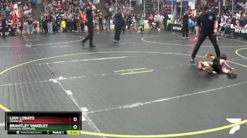 49 lbs Champ. Round 1 - Brantley Wakeley, Grayling Grapplers vs Liam Lobato, Huron WC