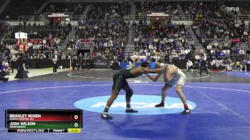 141 lbs Cons. Semi - Bradley Rosen, North Central (IL) vs Josh Wilson, Greensboro