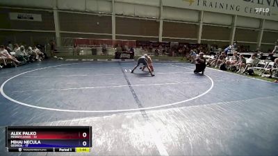 144 lbs Round 2 (8 Team) - Alek Palko, Pennsylvania vs Mihai Necula, Georgia