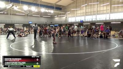 50 lbs Quarterfinal - Christopher Palmer, Niceville Wrestling Academy vs Dimitri Rudenko, Eagle Wrestling Club