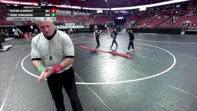 100 lbs Champ. Rd Of 16 - Dilynn Albrecht, Milton vs Josie Tomlinson, Poynette