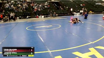 113 lbs Placement Matches (16 Team) - Tevin Delozier, Millard South vs Jameson Small, Kearney