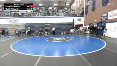 52 lbs Quarterfinal - Luca Castagneto, Hawk Wrestling Club vs Elijah Wallace, Team Real Life Wrestling