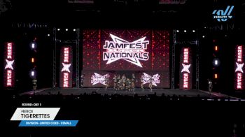 Fierce - Tigerettes [2024 L6 Limited Coed - XSmall Day 1] 2024 JAMfest Cheer Super Nationals