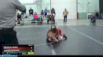 110 lbs Finals (2 Team) - Andrew Bostwick, PA Alliance Blue vs Nicholas Arado, NCWAY