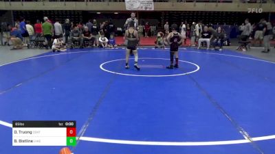 65 lbs Final - Owen Truong, Centreville vs Bryson Bistline, Lykens