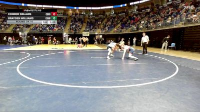 145 lbs Round Of 16 - Connor Sellars, Conrad Weiser vs Brayden Williams, Crawford County
