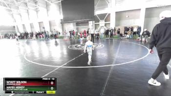 42 lbs Champ. Round 1 - Wyatt Wilson, Mountain Ridge vs Hayes Hiskey, Falcon Wrestling Club
