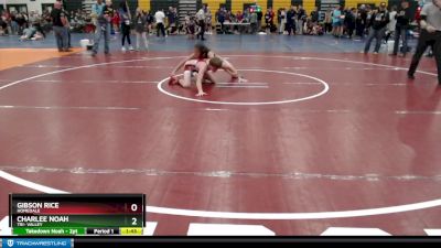 110 lbs Quarterfinal - Gibson Rice, Homedale vs Charlee Noah, Tri- Valley