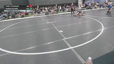 120 lbs Champ. Rd Of 64 - Jaiden Uccardi, Plainfield Wildcats vs Cody Littlepage, Bald Eagle Wrestling