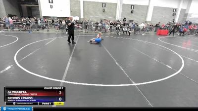 92 lbs Champ. Round 1 - Aj Woerpel, Team Nazar Training Center vs Brooks Krauss, Askren Wrestling Academy