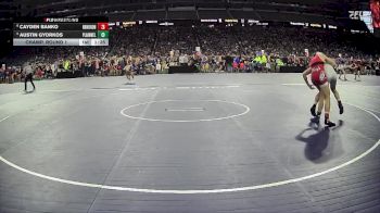D2-138 lbs Champ. Round 1 - Austin Gyorkos, Plainwell HS vs Cayden Banko, Huron HS (New Boston)