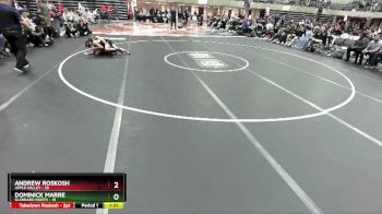 121 lbs Round 3 (4 Team) - Andrew Roskosh, Apple Valley vs Dominick Marre, Glenbard North