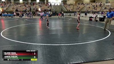 80 lbs Cons. Round 1 - Blaine Wahl, Next Level Wrestling vs Aaron Shelby, Jr Cyclones Wrestling