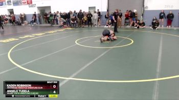 175 lbs Cons. Round 4 - Kaden Robinson, Anchorage Freestyle Wrestling Club vs Angelo Tudela, Valdez Youth Wrestling Club Inc.