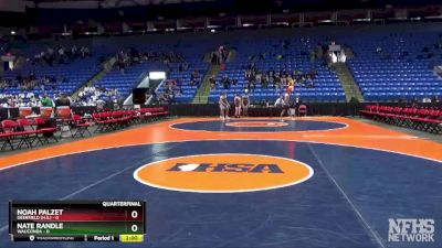 113 lbs Quarterfinals (8 Team) - Noah Palzet, Deerfield (H.S.) vs Nate Randle, Wauconda