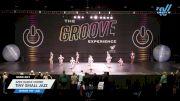 APEX Dance Center - Tiny Small Jazz [2025 Tiny - Jazz Day 1] 2025 GROOVE Dance Grand Nationals