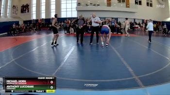 138 lbs Champ. Round 1 - Michael Horn, Washington Township vs Anthony Lucchiani, Sherando