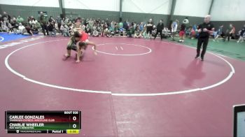 106-113 lbs 3rd Place Match - Carlee Gonzales, Takedown Express Wrestling Club vs Charlie Wheeler, Mat Rats Rebooted