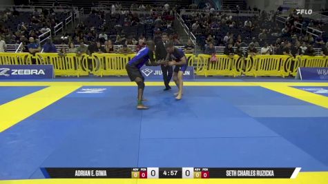 Seth Charles Ruzicka vs Adrian E. Giwa 2025 Pan IBJJF Jiu-Jitsu No-Gi Championship