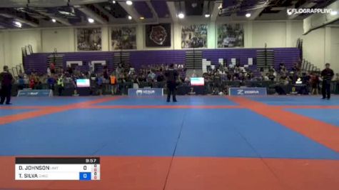 DEVHONTE JOHNSON vs THIAGO SILVA 2018 Pan Jiu-Jitsu IBJJF No Gi Championship