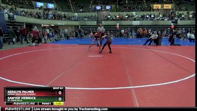 100 lbs Round 3 - Aeralyn Palmer, Summit Wrestling Academy vs Sawyer Viebrock, St. Croix Falls