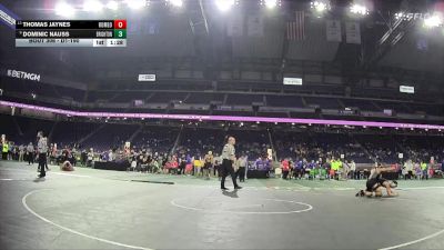 D1-190 lbs Semifinal - Dominic Nauss, Brighton vs Thomas Jaynes, Romeo