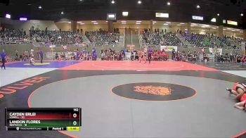 162 lbs Round 3 (4 Team) - Cayden Erlei, Lowell vs Landon Flores, Nestucca