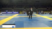 Andy Murasaki vs Michael Rakauskas 2019 Pan Jiu-Jitsu IBJJF Championship