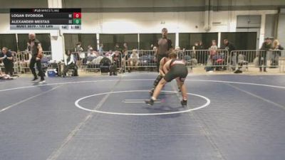 132 lbs Round Of 128 - Logan Svoboda, NE vs Alexander Mestas, SC