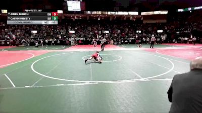 95 lbs Cons. Round 1 - Aiden Minich, Unattached vs Calvin Krysty, BAY2