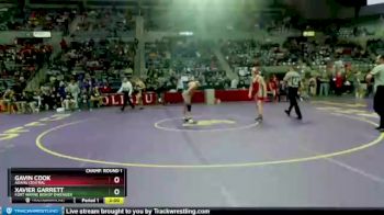 126 lbs Champ. Round 1 - Xavier Garrett, Fort Wayne Bishop Dwenger vs Gavin Cook, Adams Central