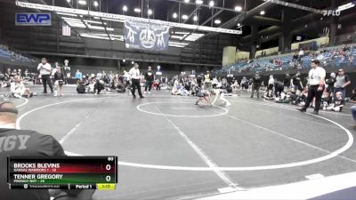 80 lbs Placement - Brooks Blevins, Kansas Warriors 1 vs Tenner Gregory, Prodigy NDT